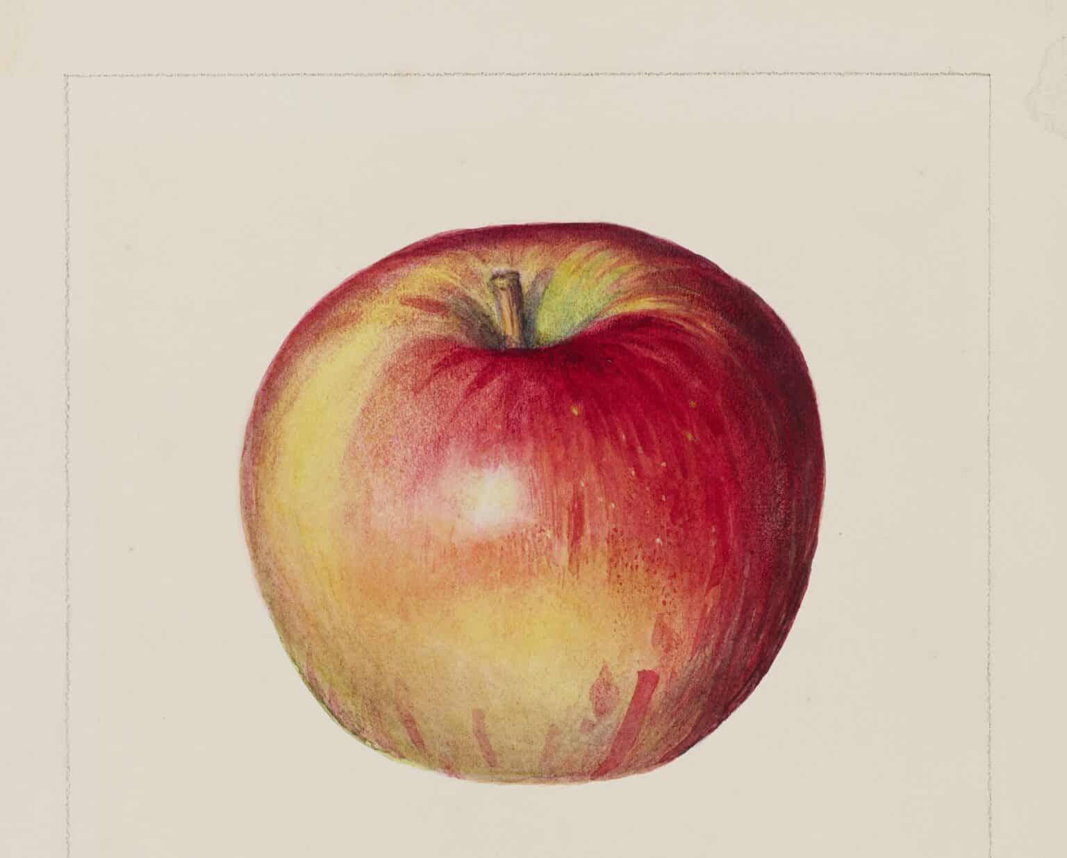 Ingenium_Bingo_Apple_19872378 (1) - cropped