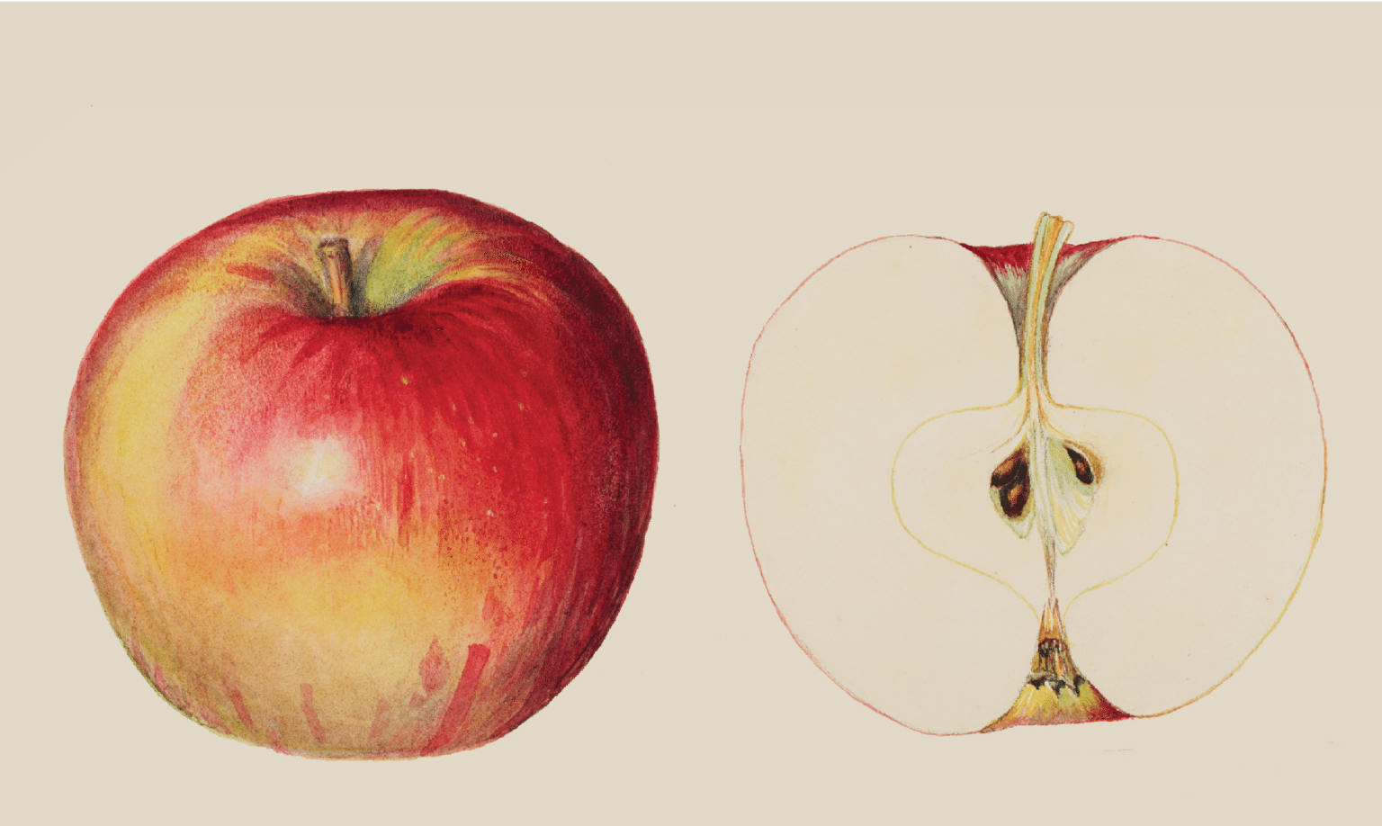 MAR 4 V2 1000000016 Graphics- FILE DigSign2 - 1920 x 1080