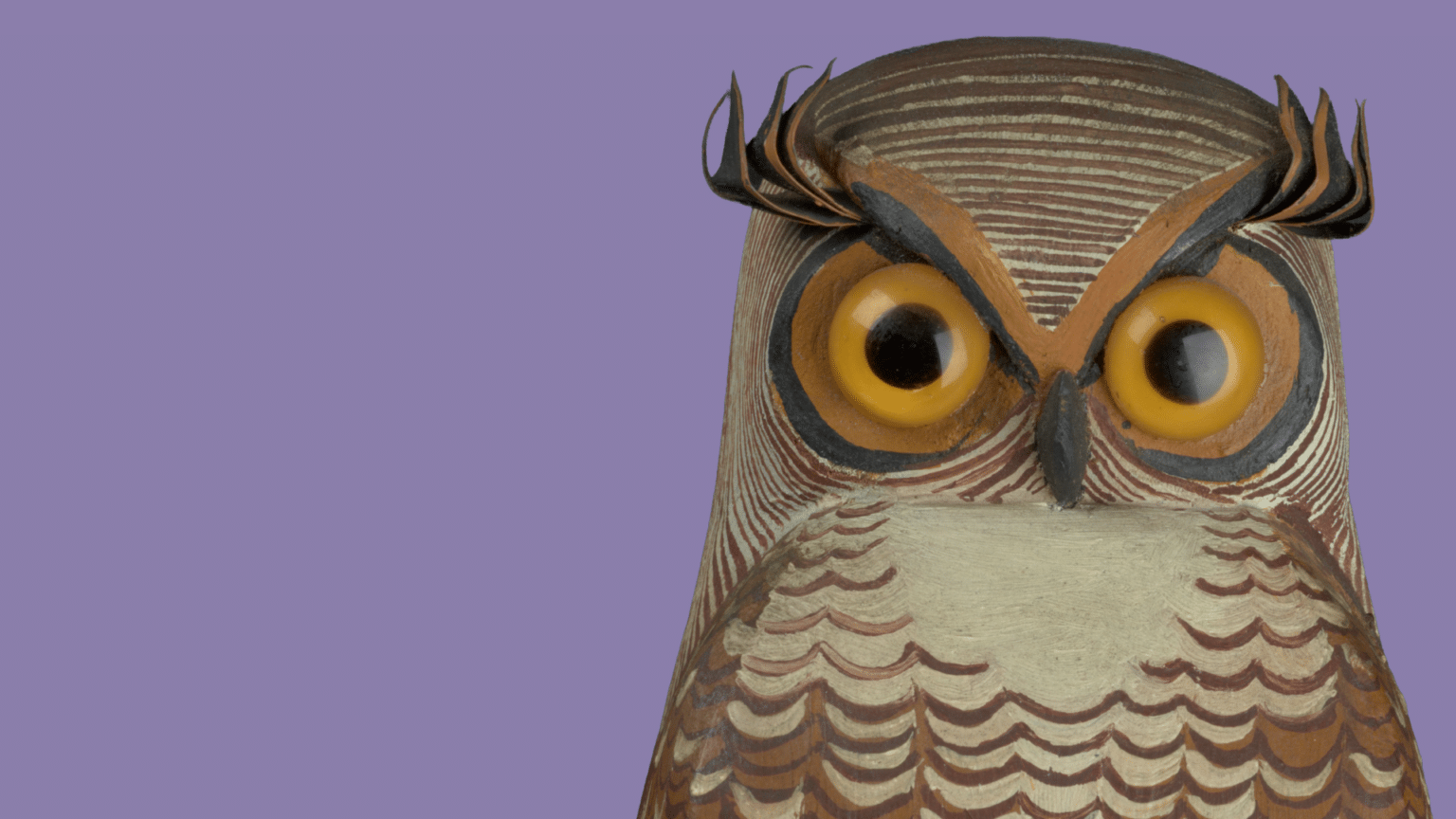 Web banner-2