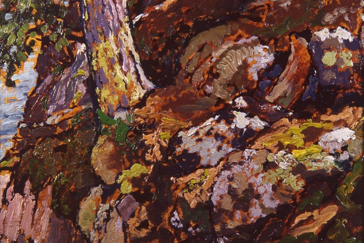 Franz Johnston, Nature’s Rug, Lake of the Woods [Tapis naturel, lac des Bois], 1921, huile sur panneau, 27 x 29 cm. Collection d’Art Windsor-Essex. Acquis avec l’appui du ministère de la Culture et des Loisirs par l’entremise de Wintario, 1979, 1979.035.