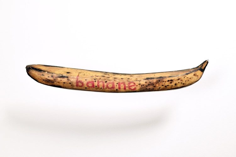 Russell Yuristy, Bilingual Banana [Banane bilingue], s.d., bois, peinture, crayons de couleur, plastique, 10,5 x 65,1 x 7,3 cm, collection de la MacKenzie Art Gallery; don de June Whitney, 2001-43