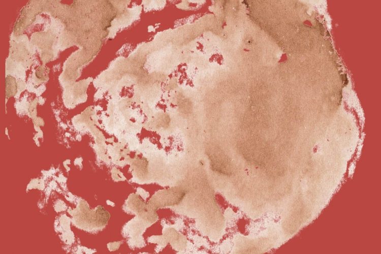 Placenta Monoprint 3, 2025, pigment print on peel & stick paper, 96.52 x 76.2 cm, courtesy of the artist.