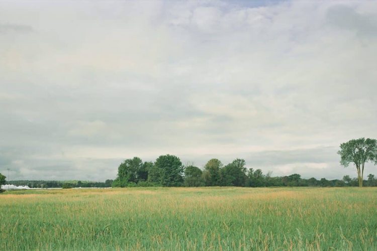 Jon Stuart, Marécage du ruisseau Stillwater – Moodie et ruisseau Stillwater 2/2, 2022, encre pigmentée sur Dibond, gracieuseté de l’artiste