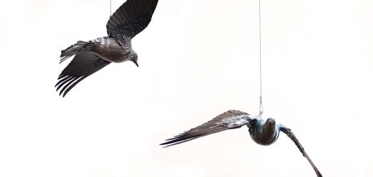01a_Urban Migration