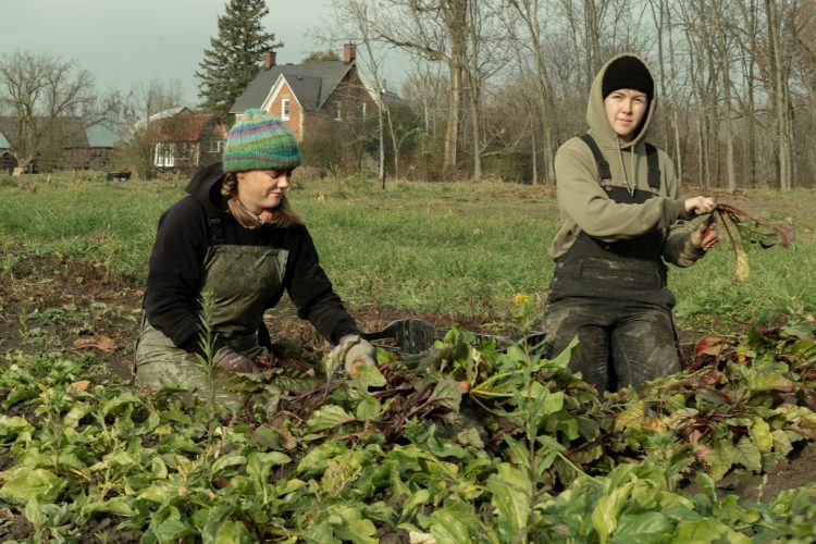 Barbara Brown, Sowing the Future Series: Willow and Tess – Mud Harvest, 2024, archival pigment on cotton rag mounted on aluminum panel. Courtesy of the artist.