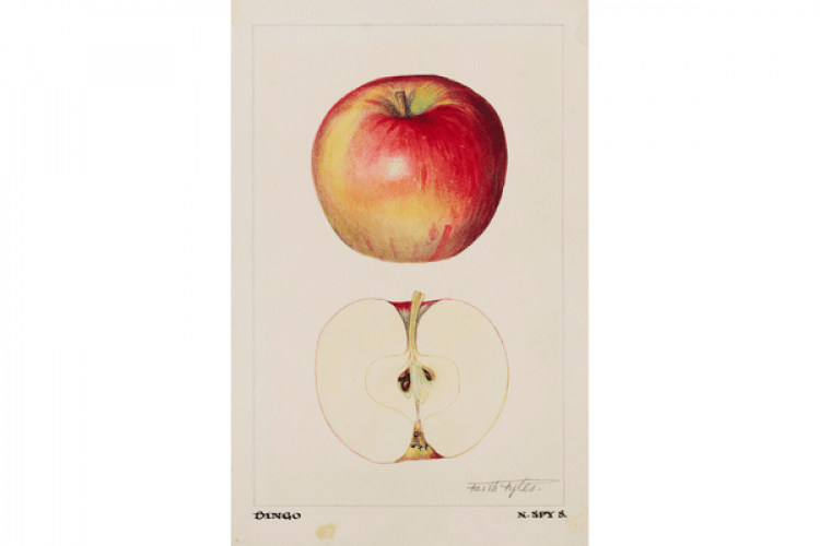 Faith Fyles, Bingo, 1921, watercolour, Ingenium. 1987.2378