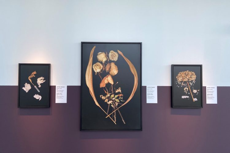 Le prix Projet X. Faire la mort de Joyce Crago, vue de l'installation, Galerie d'art d'Ottawa, 2021