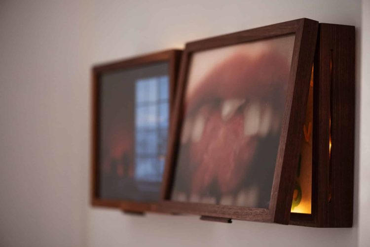 Kristine Nyborg, Antonyms, 2024, inkjet prints in walnut box frames with LED lights, 7cm x 25cm x 34cm. Courtesy of the artist.
