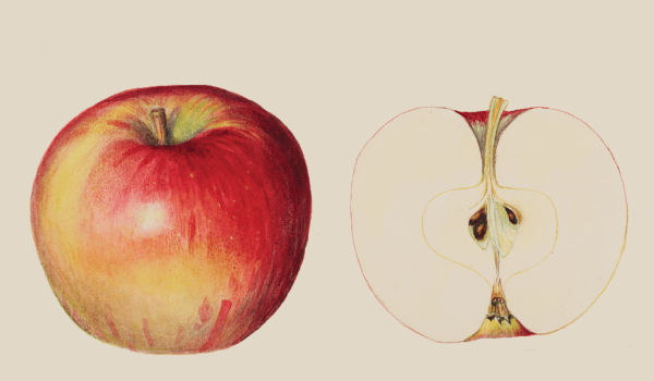 MAR 4 V2 1000000016 Graphics- FILE DigSign2 - 1920 x 1080