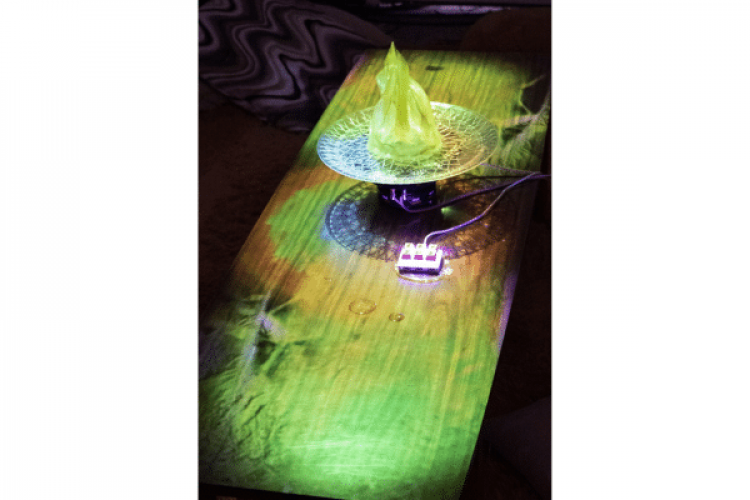 Wind Up Radio, Freedom Begins with Breakfast, 2026, 

multi-channel sound, video, gelatin sculpture on plastic plate. Photo credit: Madeleine Merritt. Courtesy of the artist.