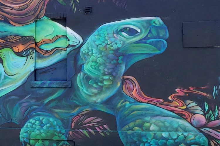 83 til Infinity Ottawa Art Gallery