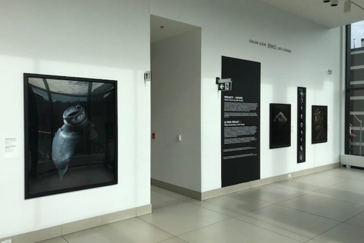 Le prix Projet X. Plage de plastique, John Healey, vue de l'installation, Galerie d'art d'Ottawa, 2020. Photo : Dan Austin