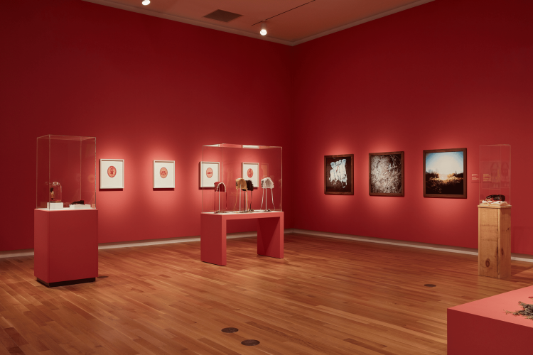 Installation view of Jobena Petonoquot: Rebellion of my Ancestors, an exhibition at the Ottawa Art Gallery (March 26-August 14, 2022), curated by Lori Beavis and Rebecca Basciano. Courtesy of the Artist. Photo : Rémi Thériault.
