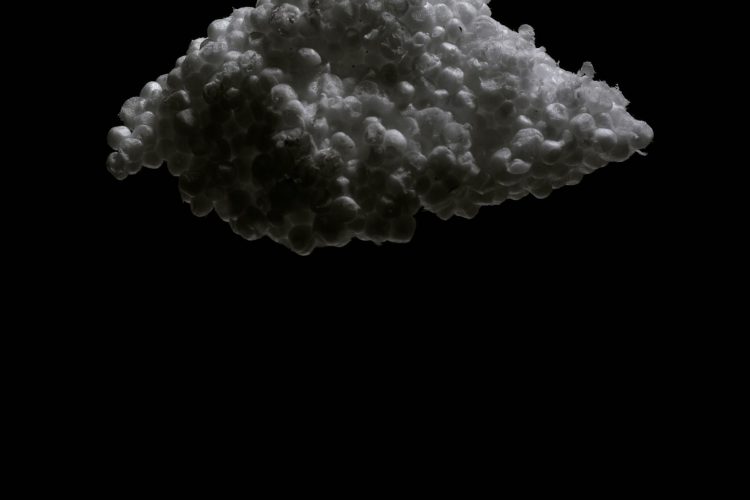 John Healey, Styrofoam Cloud, Lake Ontario [Nuage de styromousse, lac Ontario] 2019 Encre à pigments résistante sur papier baryté 30 po x 40 po Gracieuseté de l’artiste