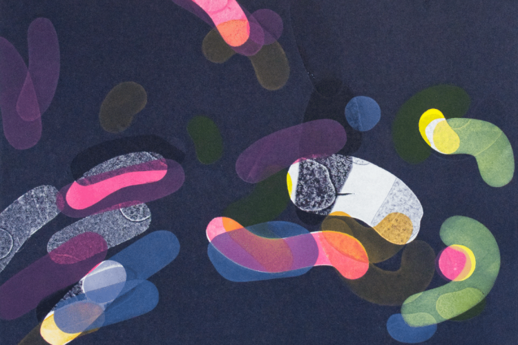 Laurence Finet, Exploded III, 2018, Monoprint in several layers, 38 x 28 cm