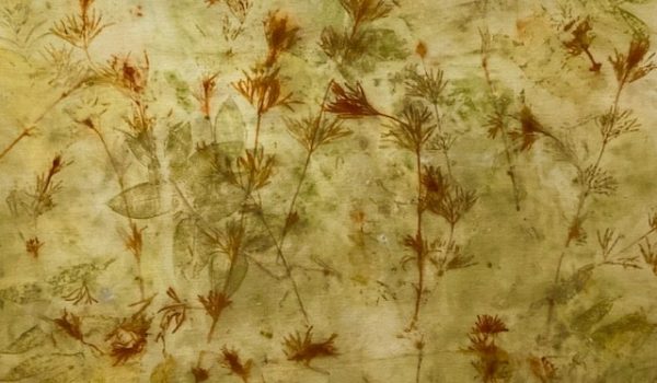 Wendy Feldberg, COREOPSIS RED SCROLL, 2026, botanical print on cotton on watercolour paper: coreopsis verticillata, rhus typhina (sumac), rosa rugosa (Rugosa rose), prunus cistena (Purple Sandcherry); iron oxide, 56 x 43 cm